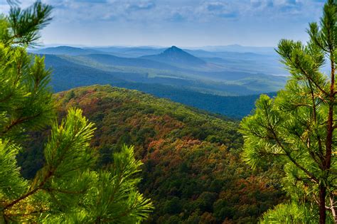 Ouachita Mountain landscape