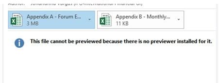 Outlook Excel Preview Issue