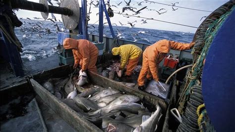 Overfishing in US Territorial Waters