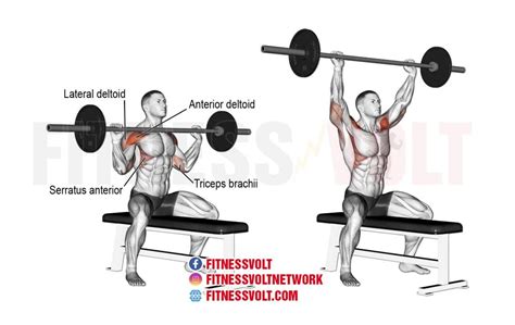 Overhead Press Variations