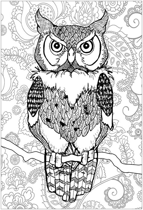 Owl Adult Coloring Page