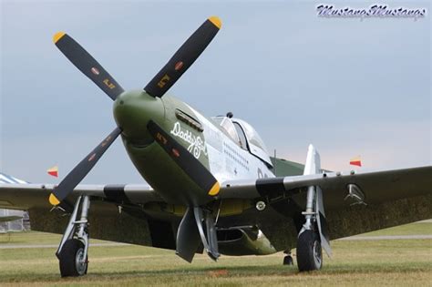 Surviving P-51 Mustangs