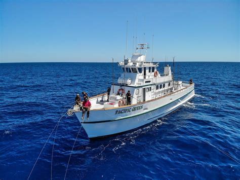 Pacific Queen Fishing in California