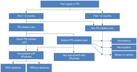 Description of Pain Management