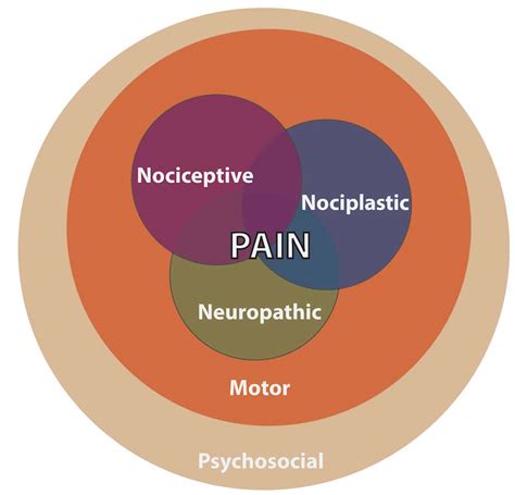 Pain Mechanisms