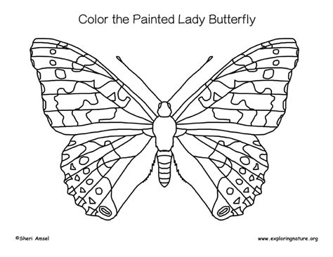 Painted lady butterfly coloring page