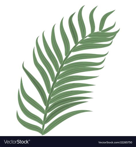 Palm Leaf Template for Wall Decor