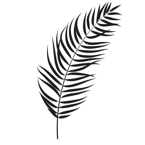 Palm tree leaf template for Silhouette