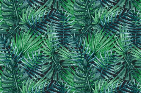 Palm tree leaf pattern