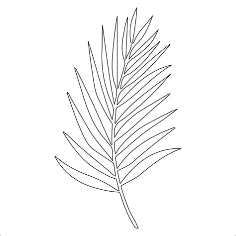 Palm tree leaf template