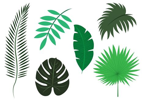 Palm Tree Leaves Template Design