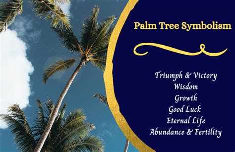 Palm Tree Symbolism and Meaning