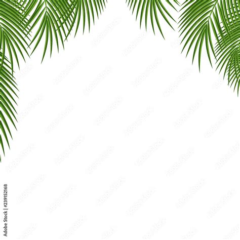 Vector Palm Tree Leaf Template