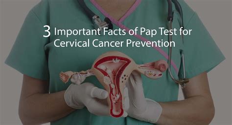 Description of Pap Test