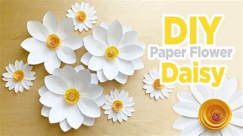 Paper Daisies