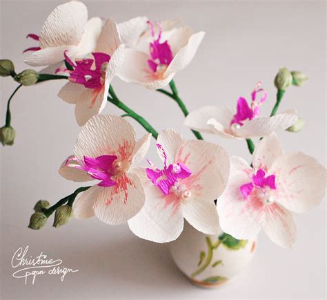 Paper Orchids