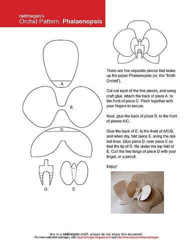 Paper Orchid Template