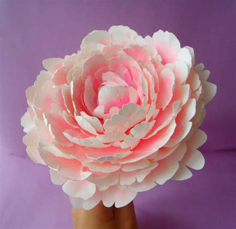 Paper peony flower template colors