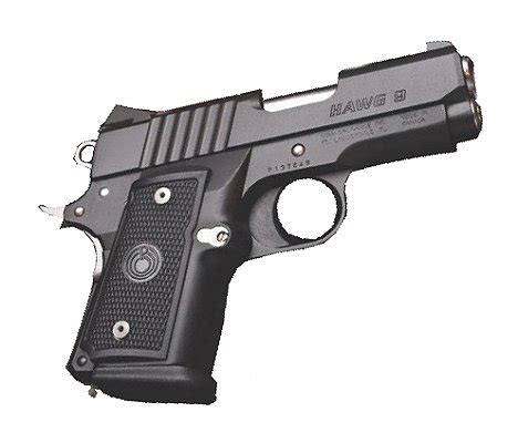 Para USA Warthog 9mm 1911