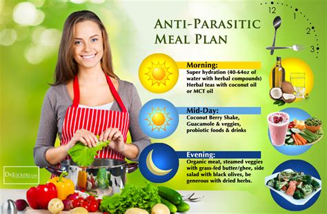 Parasite removal dietary changes