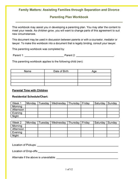 Parenting Schedule Template 9