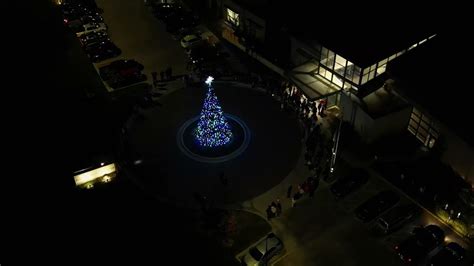 Park City Christmas Tree