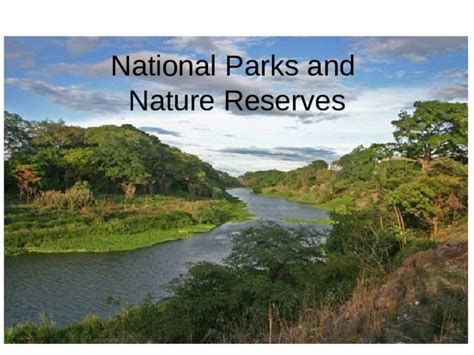 Parks and Nature Reserves in Vero Beach