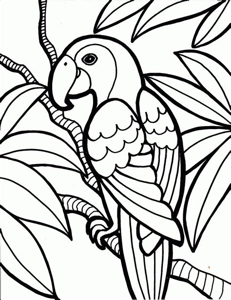 Parrot Coloring Pages 9