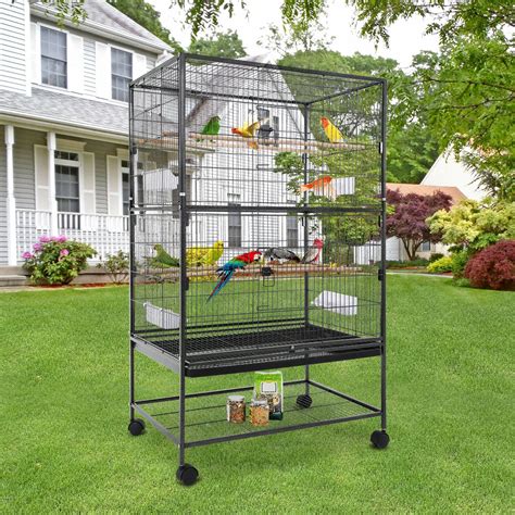 A Blue Fronted Amazon parrot in a safe and comfortable cage