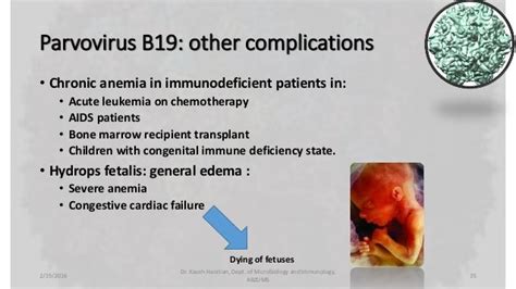 Parvovirus B19 Cardiovascular Complications