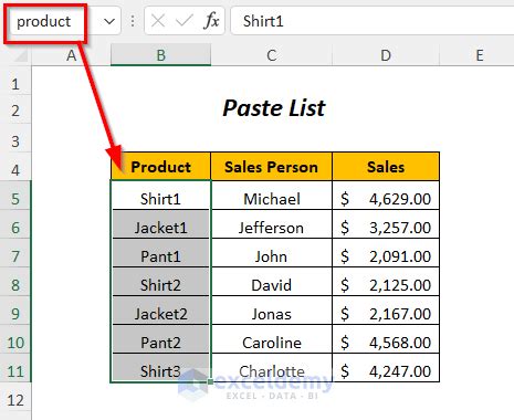 Paste Names in Excel