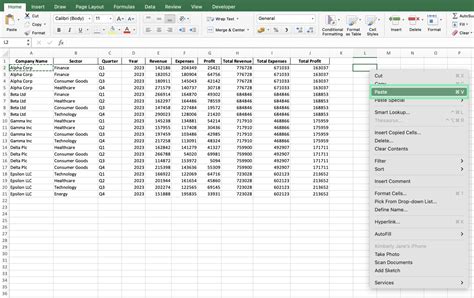 Paste Options in Excel