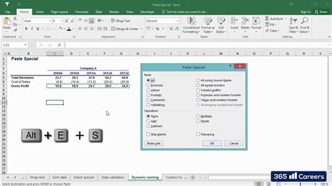 Paste Special - Formulas