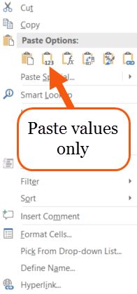 Pasting Values Only