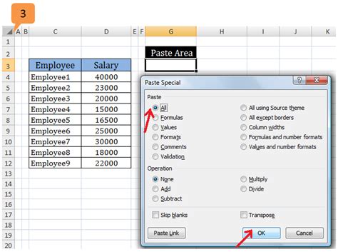 Paste Special Options