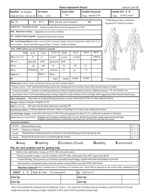 Patient Assessment Template 2