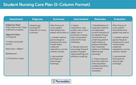 Patient Care Plan Example