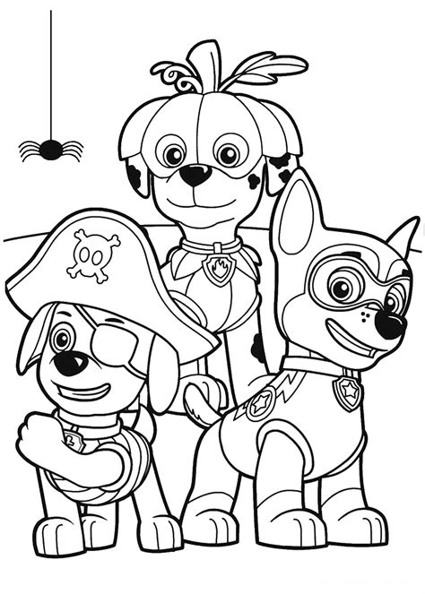 Paw Patrol coloring book