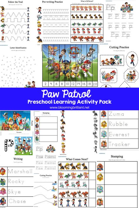 Paw Patrol Patterns Worksheet