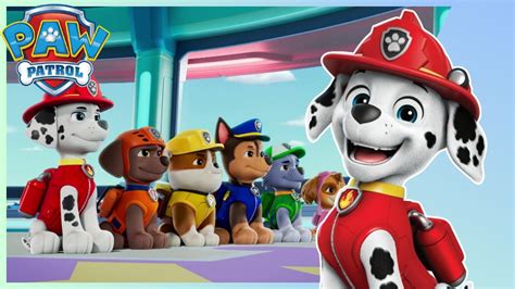 Paw Patrol Sequence Worksheet