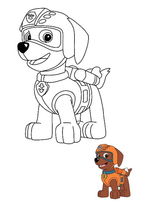 Zuma coloring page