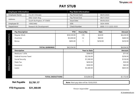 Pay Stub Template Example