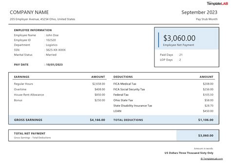 Pay stub template examples for contractors