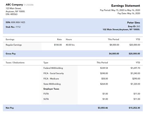 Pay Stub Template Generator Example