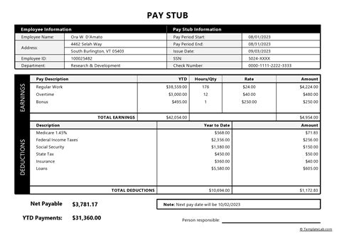 Pay Stub Template Gusto