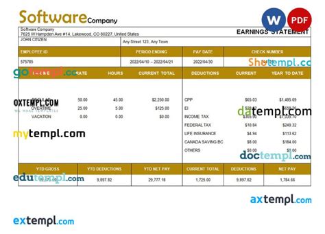 Pay Stub Template Software Example