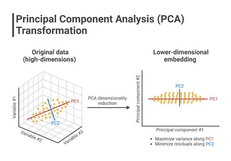 PCA Components