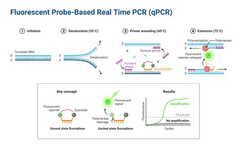 PCR-Based Methods