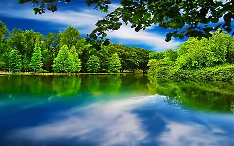 A peaceful lake with a calm atmosphere