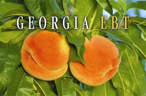 Peach County Food Stamps Georgia